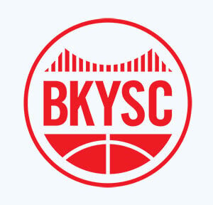 67b602454c675ed91eda537e_Brooklyn Youth logo