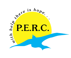 684071c5b1f634d81151707e_PERC