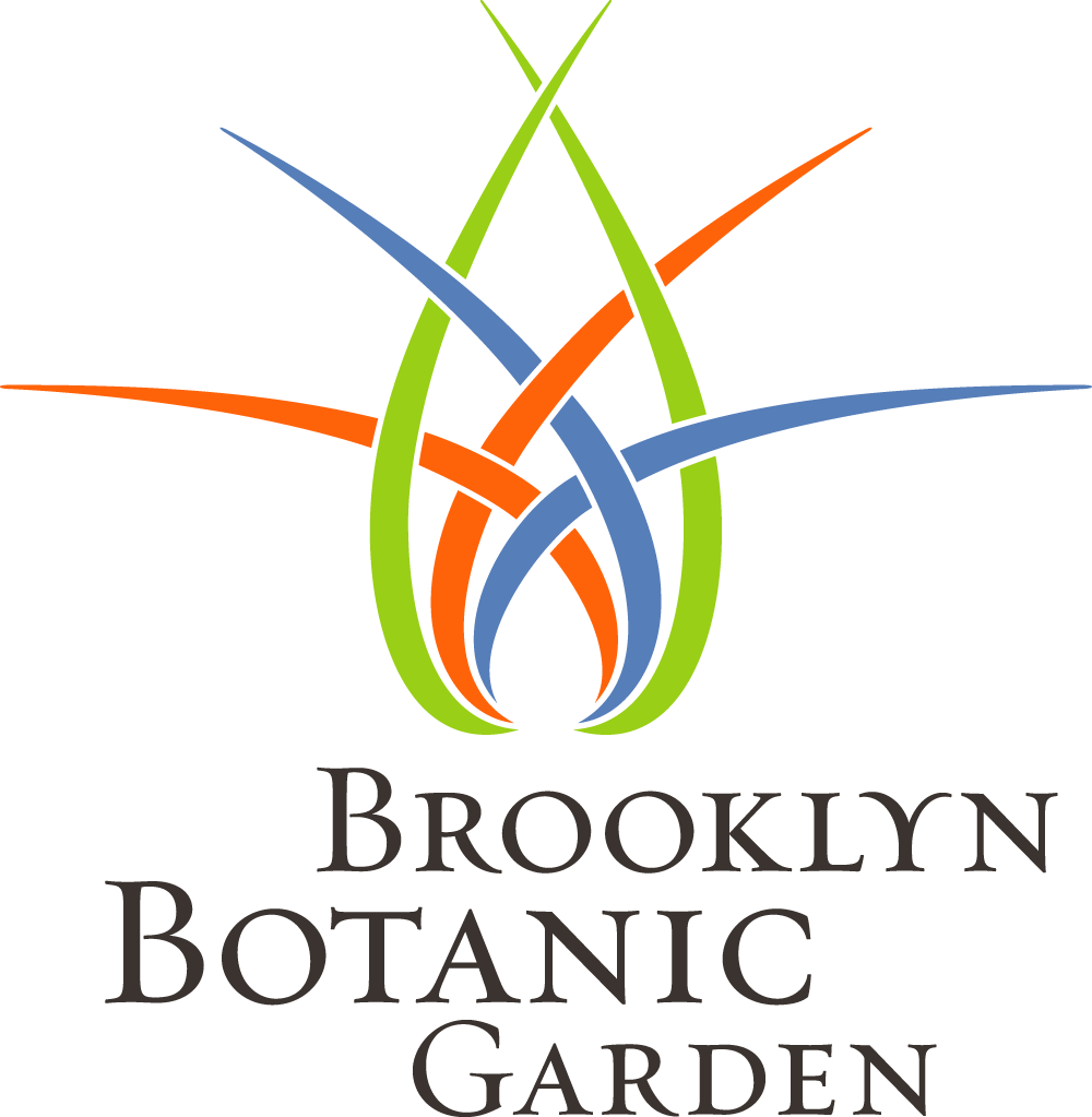 BBG logo (color transparent)
