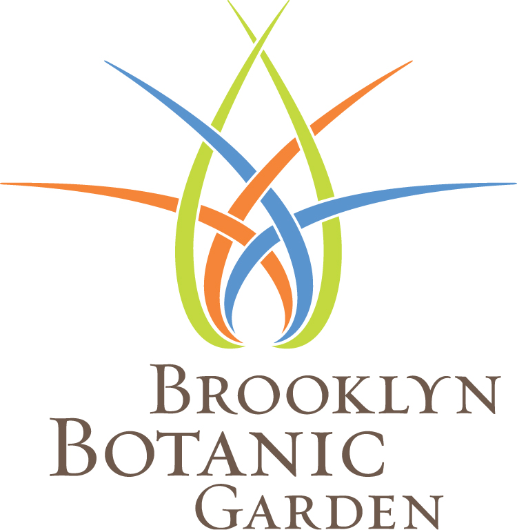 BBG_Logo_color