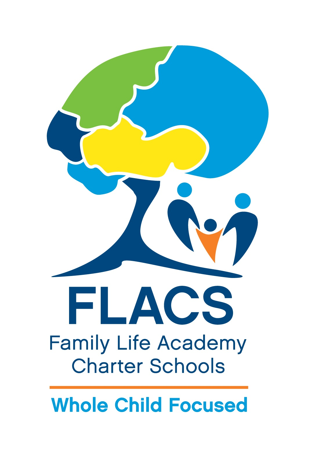 FLACS Logo High Res